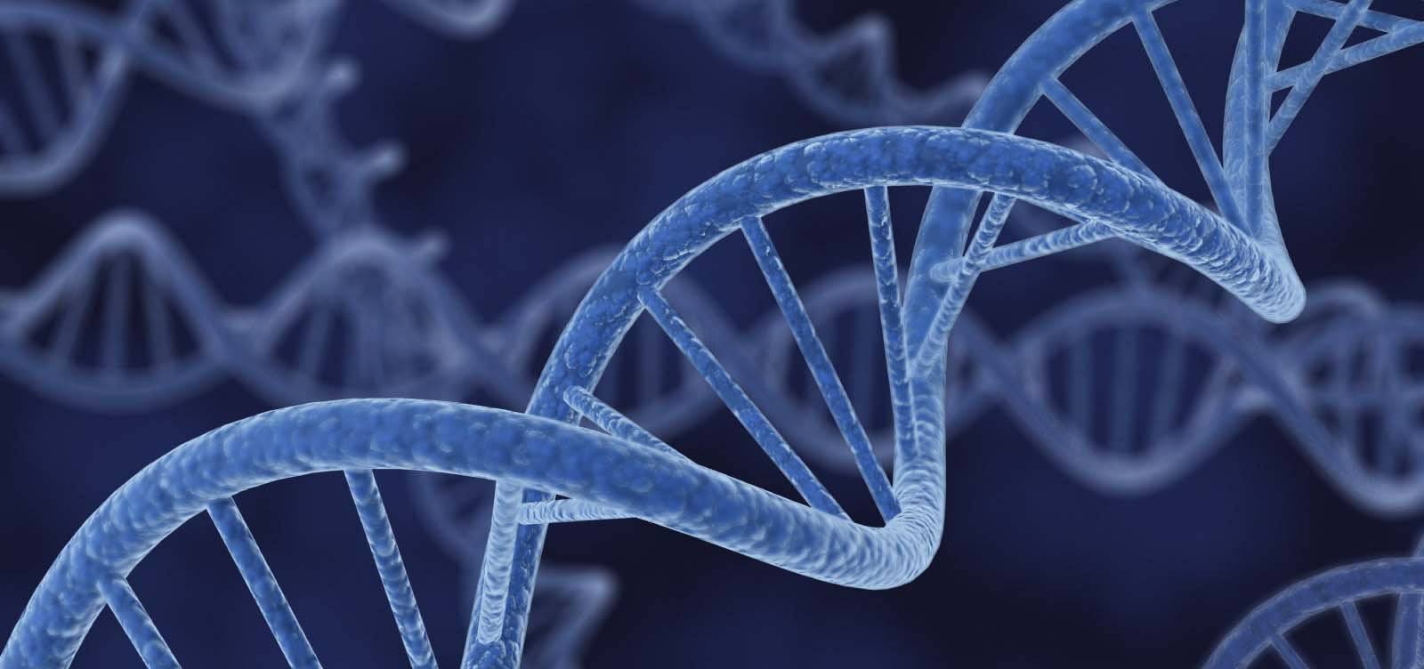 dna strands 1 اولین نانوروبات DNA برای جابجایی مولکول‌های بدن ساخته شد